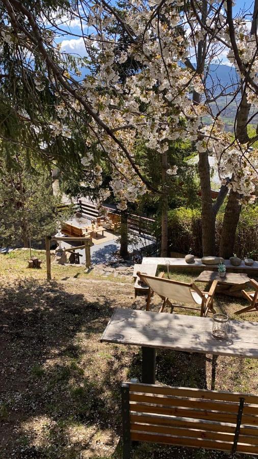 Pura Vida Villa Estavar Exteriör bild